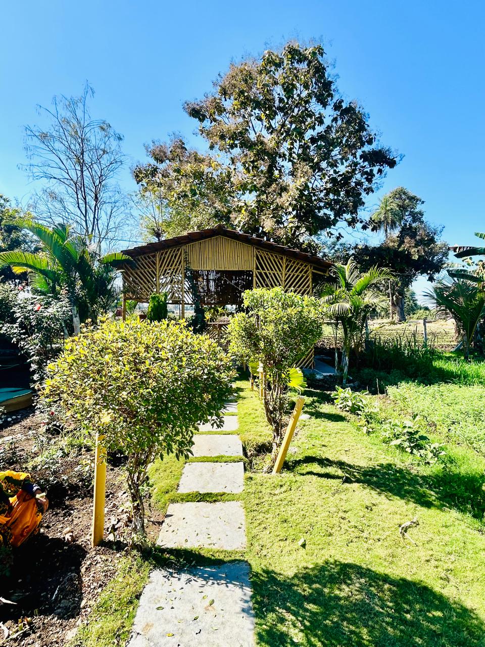 PHOTO-2025-04-13-16-38-19 (4)