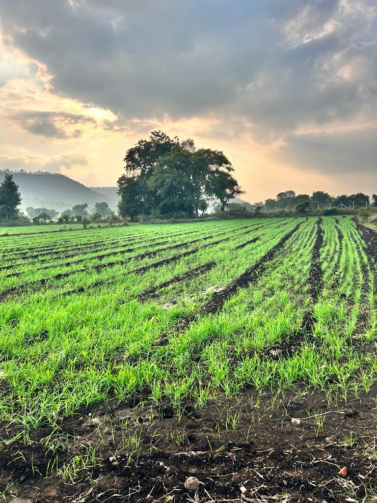 WhatsApp Image 2025-09-10 at 14.38.29