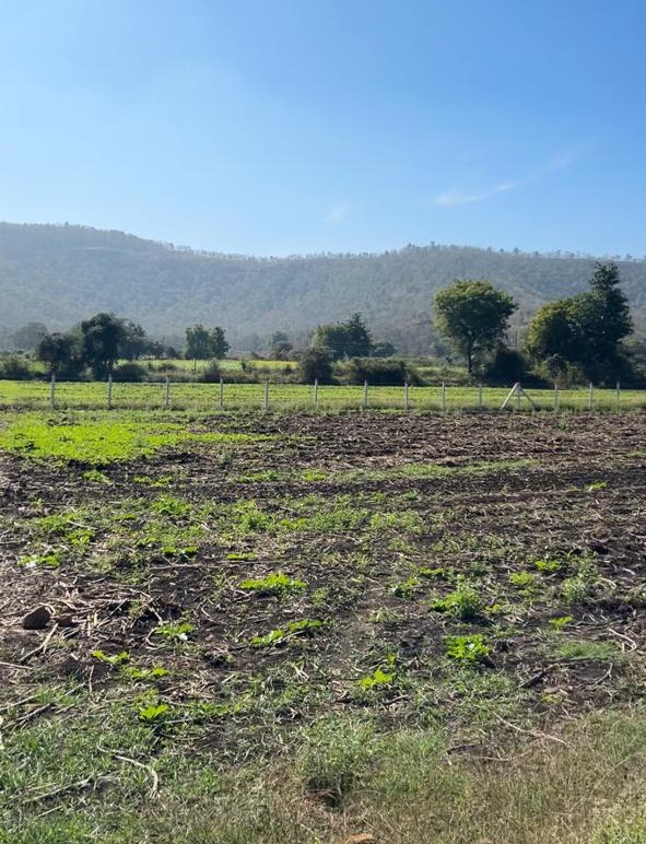 WhatsApp Image 2025-09-10 at 14.38.30 (1)